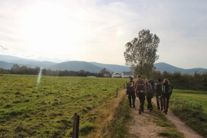 IMG_2963